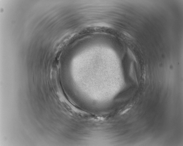 X0000054401014200508262225