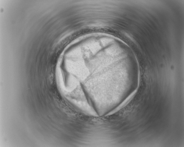 X0000054401015200508262225