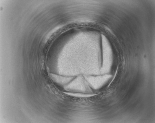 X0000054401016200508262225