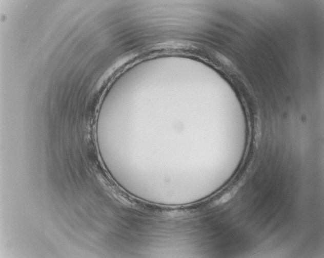 X0000054401017200508262225