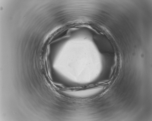 X0000054401018200508262225