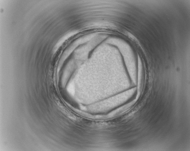 X0000054401019200508262225