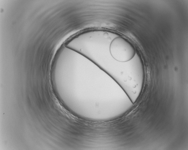 X0000054401020200508262225