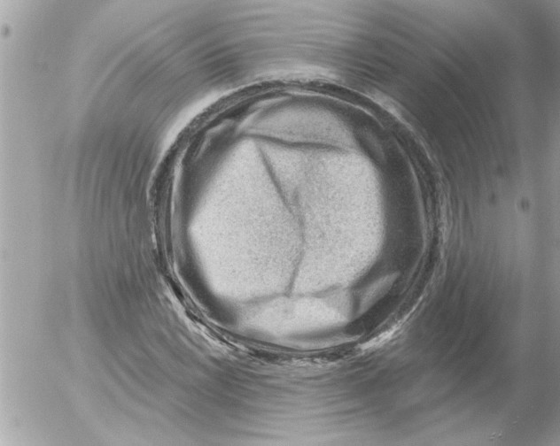 X0000054401022200508262225