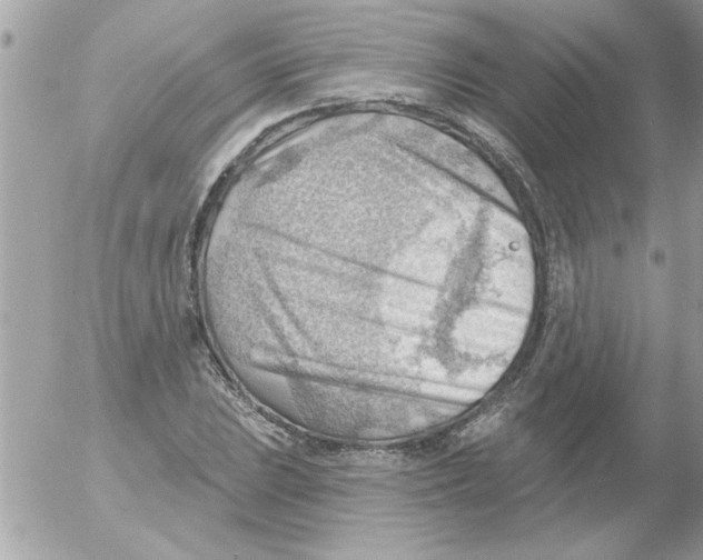 X0000054401023200508262226