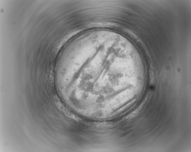 X0000054401025200508262226