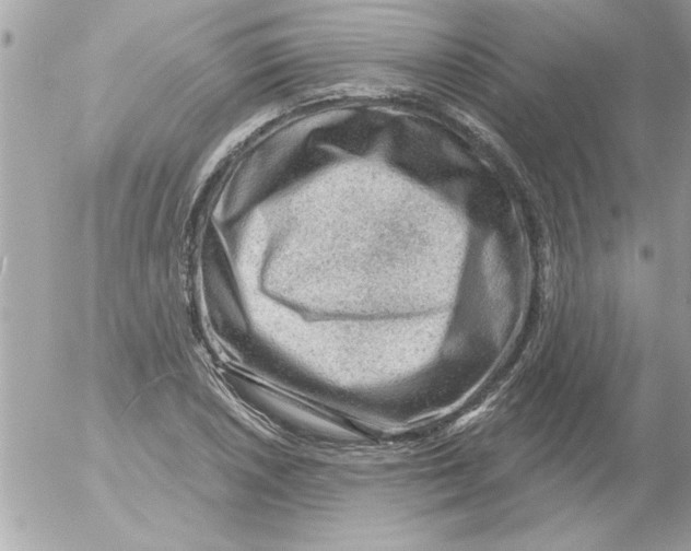 X0000054401026200508262226