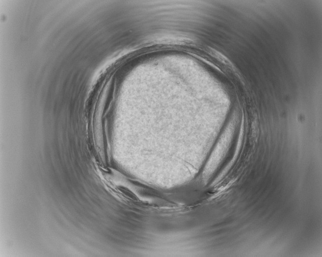 X0000054401027200508262226