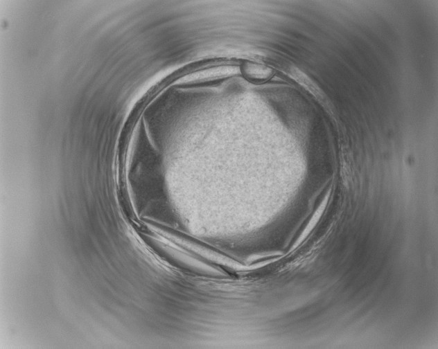 X0000054401028200508262226