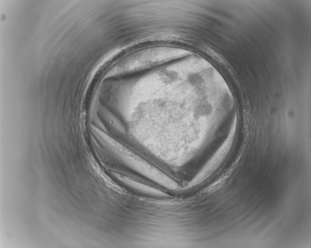 X0000054401029200508262226