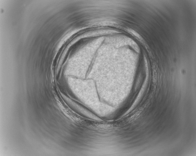 X0000054401031200508262226