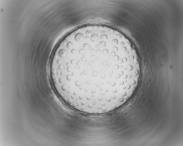 X0000054401032200508262226