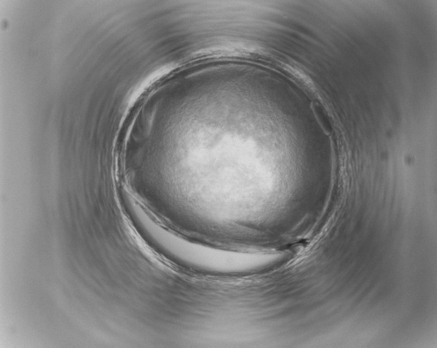 X0000054401034200508262226