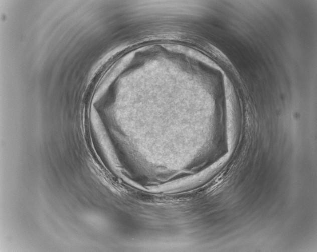 X0000054401035200508262226