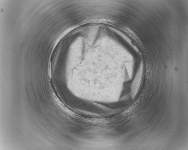 X0000054401036200508262226