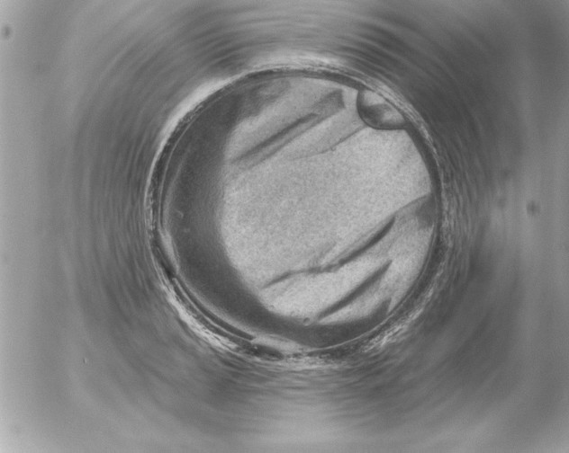 X0000054401037200508262226