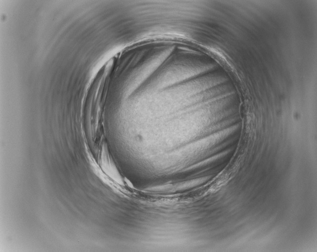 X0000054401038200508262226