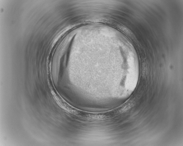 X0000054401039200508262226