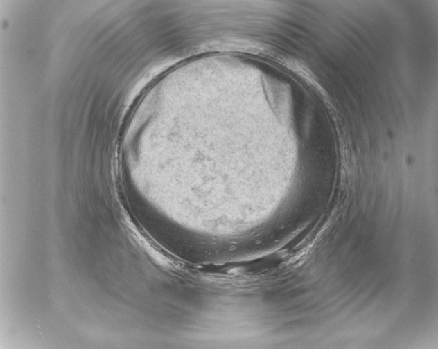 X0000054401040200508262226