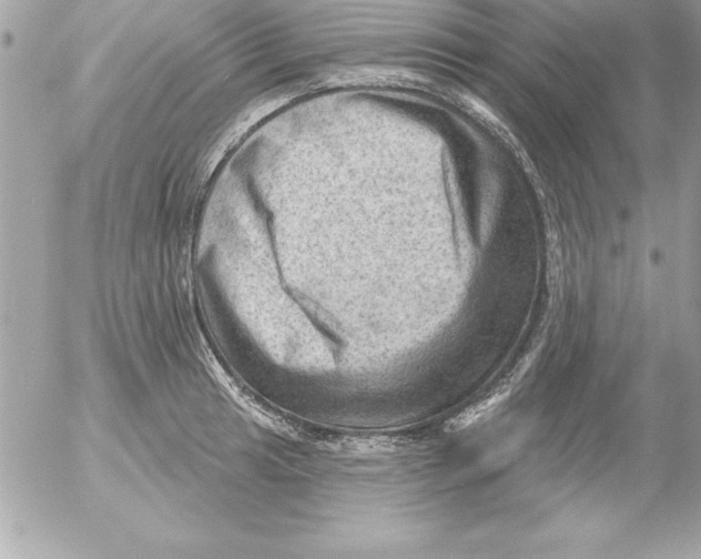 X0000054401041200508262226