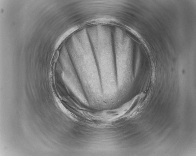 X0000054401042200508262226