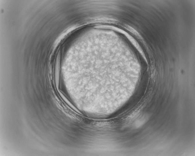 X0000054401043200508262226