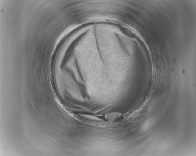 X0000054401045200508262226