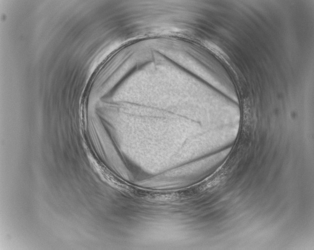 X0000054401047200508262226