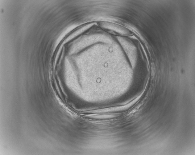 X0000054401048200508262226