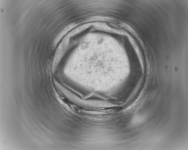 X0000054401049200508262226