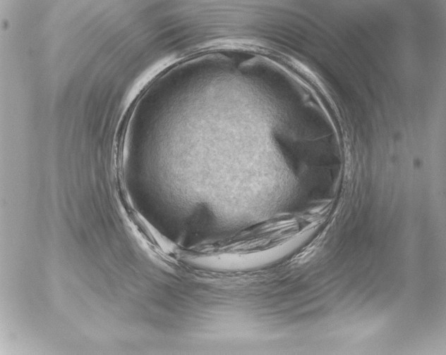 X0000054401050200508262226