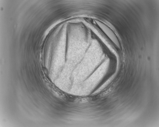 X0000054401051200508262226