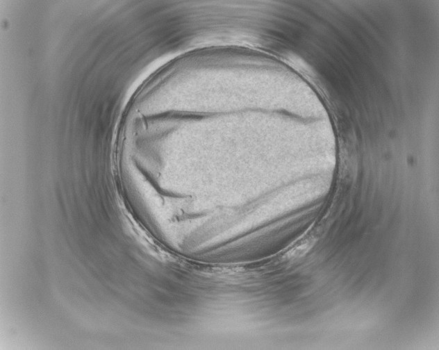 X0000054401052200508262226