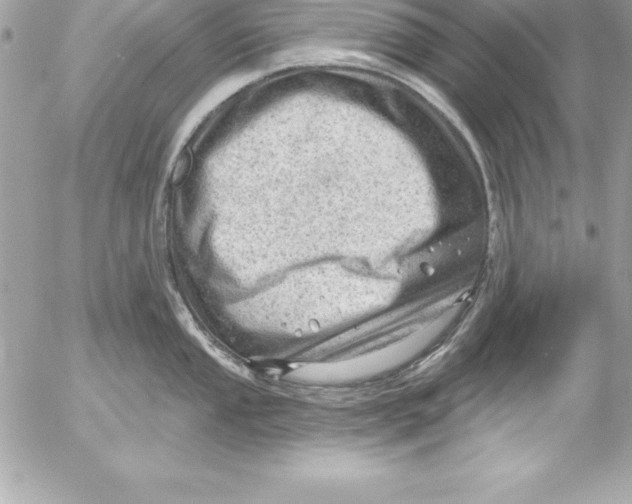 X0000054401053200508262226