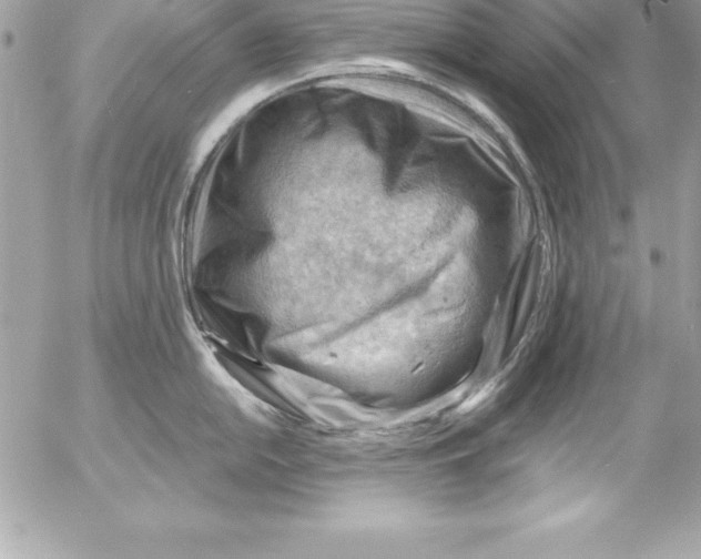 X0000054401054200508262226