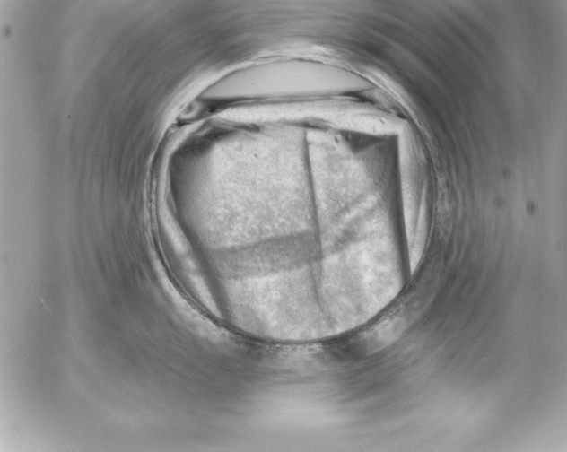 X0000054401055200508262226