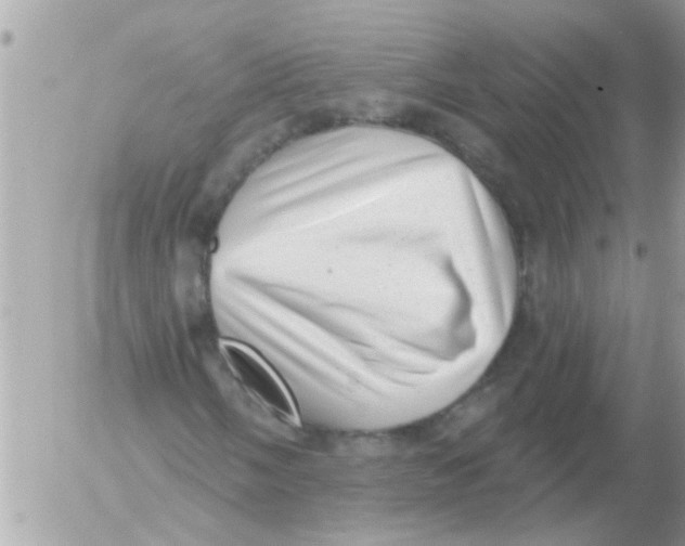 X0000054401058200508262225