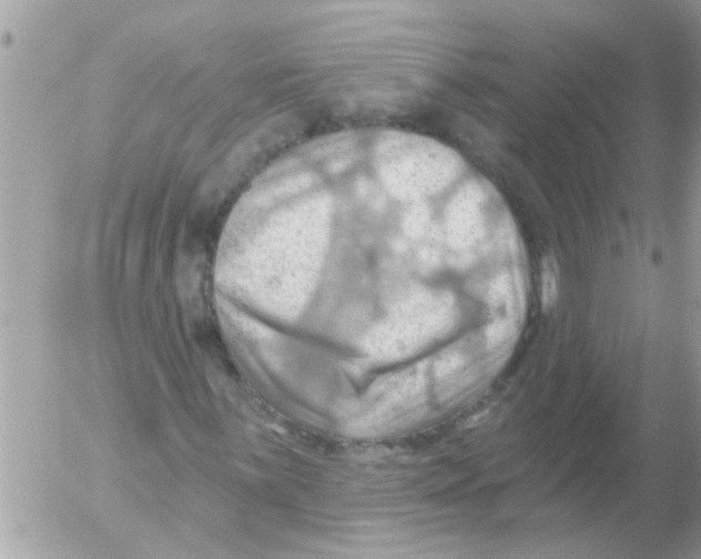 X0000054401059200508262225