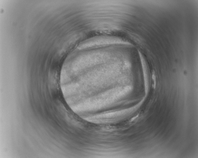 X0000054401060200508262225