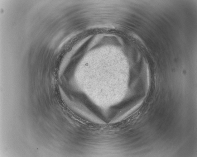 X0000054401064200508262225