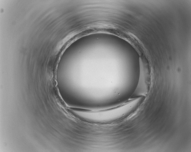 X0000054401065200508262225