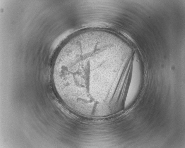 X0000054401067200508262225