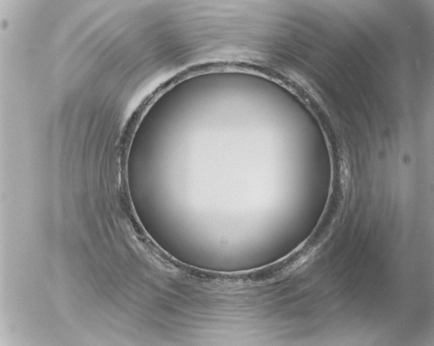 X0000054401069200508262225