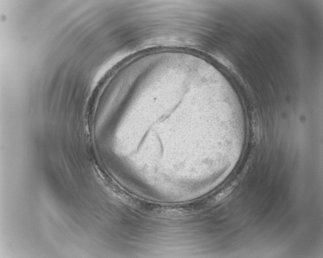 X0000054401070200508262225