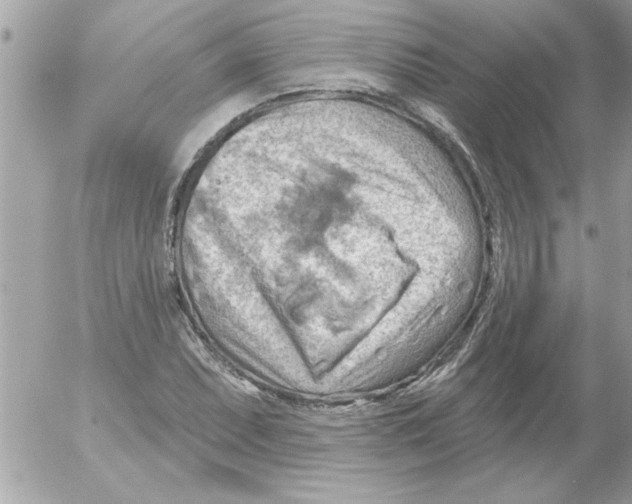 X0000054401071200508262225