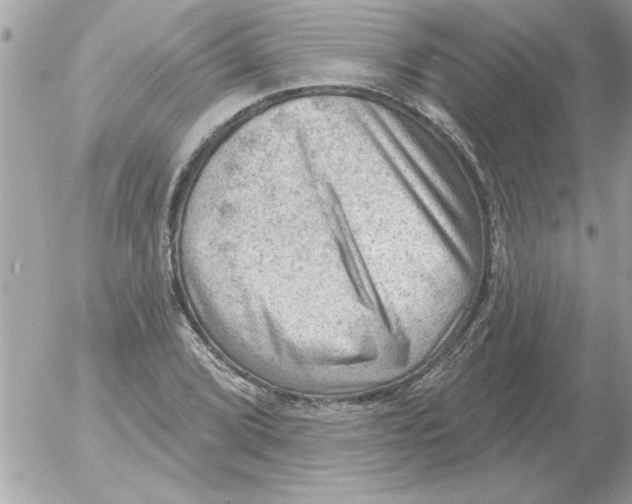 X0000054401072200508262225