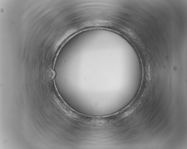 X0000054401073200508262225