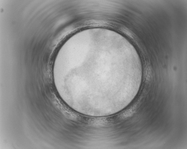 X0000054401074200508262225