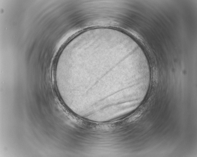 X0000054401078200508262225