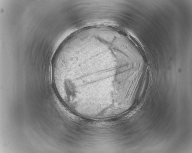 X0000054401079200508262225